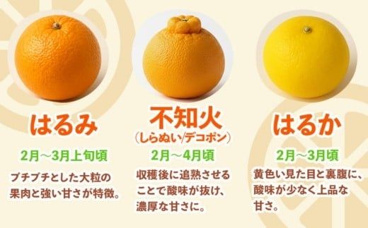 ＜1月より発送＞家庭用 柑橘詰合せ10kg+250g（傷み補償分）（傷み補償分）【訳あり・わけあり】【有田の春みかん詰め合わせ・フルーツ詰め合せ・オレンジつめあわせ】【光センサー選別】