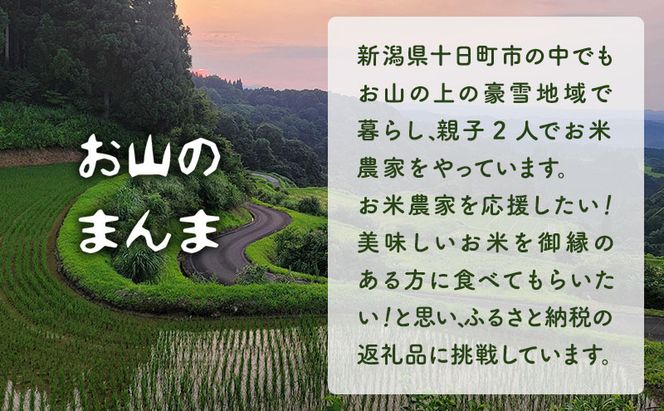 農家直送 新潟県十日町市 魚沼産天水田 コシヒカリ お山のまんま 白米 5kg×2袋セット お米 