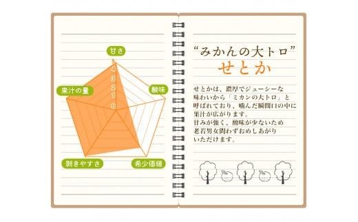 訳あり せとか 3.5kg＋200g(傷み補償分) 大小混合 【2025年2月下旬から順次発送】 ご家庭用 家庭用 わけあり 訳アリ フルーツ 果物 くだもの 柑橘 せとか みかん ミカン 蜜柑 人気 予約 先行予約 数量限定【njb682】