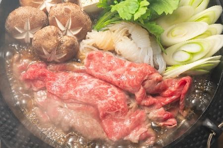 【厳選部位】【A4～A5】佐賀牛サーロインしゃぶしゃぶすき焼き用 500g【肉 牛肉 ブランド牛 黒毛和牛 お祝い ご褒美 ふるさと納税】(H112114)