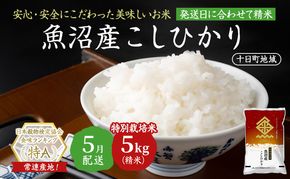 【令和7年産米】特別栽培米 魚沼産こしひかり(十日町地域) 精米 5kg 5月配送 お米 精米 こめ ご飯 白米 特別栽培  旧：五郎兵衛