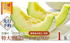 完熟 特大 アールスメロン １玉 2026年産 先行予約 メロン マスクメロン 青肉 果物 フルーツ 茨城県産 期間限定 数量限定 [AF087ci]