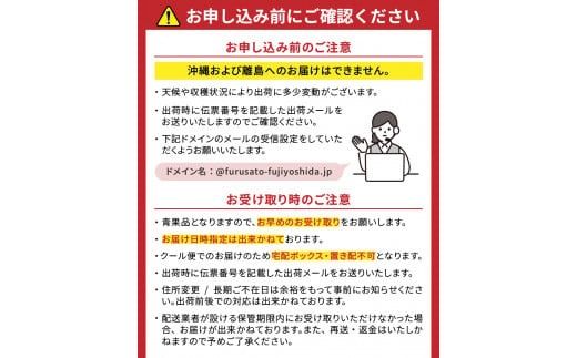 【2025年先行予約】山梨県産 シャインマスカット フルーツ シャインマスカット 果物 旬 高級 山梨 富士吉田