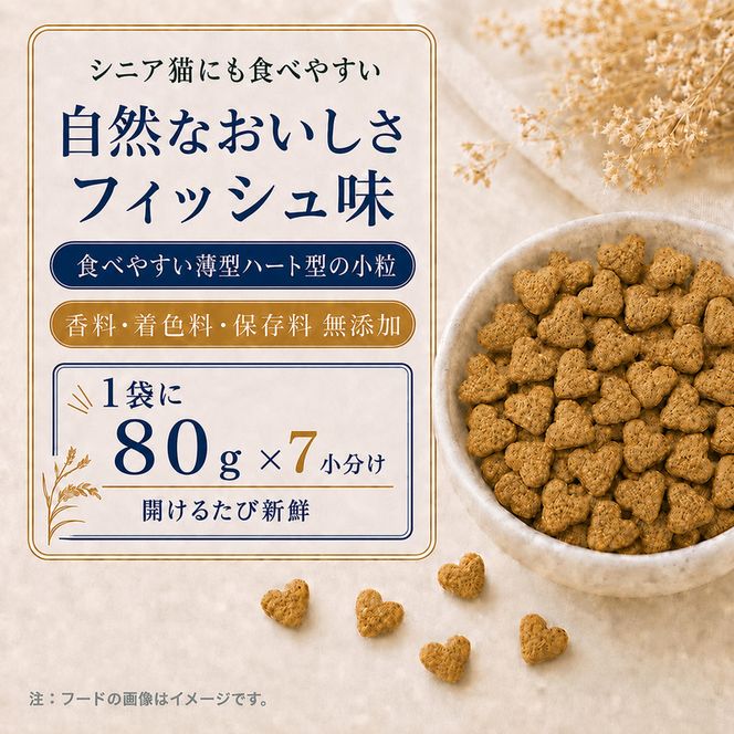 ビューティープロ キャット 下部尿路の健康維持 11歳以上 560g ｘ10(ケース単位) キャットフード