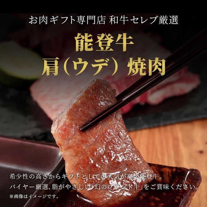 肉【和牛セレブ】能登牛　牛肩（ウデ） 焼肉 500g 黒毛和牛 霜降り ギフト 石川県 能美市 172111_DB033