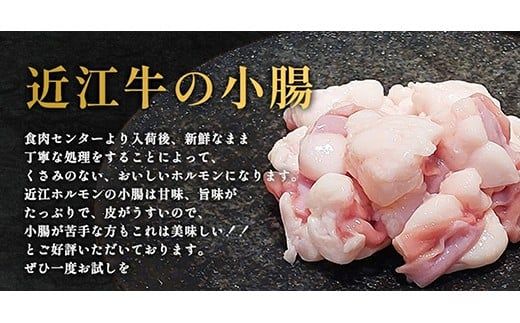 【1週間以内発送】味付けホルモン　秘伝のタレ漬け　近江牛小腸　1,800g（300g×6）【FO75W】