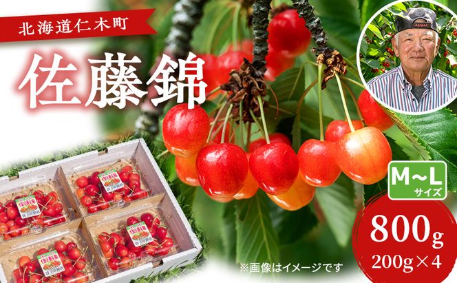 先行受付 さくらんぼ【 佐藤錦 】800g（200g×4）M-Lサイズ混合  サクランボ チェリー フルーツ 果物 果物類 ギフト 北海道 仁木町 仁木 [横山農園]