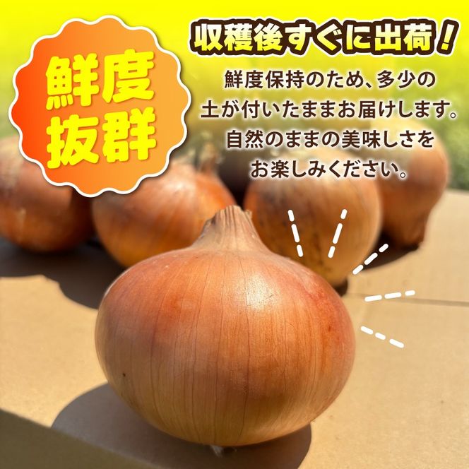 010B1965 葛葉玉ねぎ 3kg【10玉程度 泉佐野市 泉州たまねぎ 肉厚 甘い】