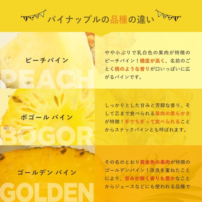 先行予約＜2026年6月より順次発送＞贅沢3種フローズンパイナップル 3パック【 沖縄県 石垣市 果物 パイナップル 冷凍 パイン フローズン 送料無料 】 EF-5