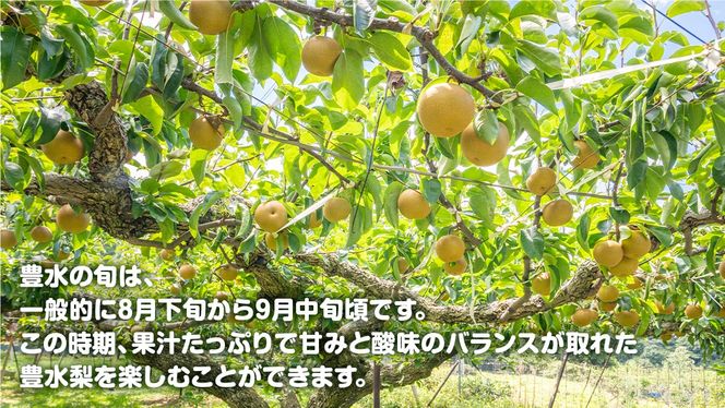 梨 豊水 約 10kg 【2026年9月より発送開始】（茨城県共通返礼品 [梨]：大子町産）田舎の頑固おやじが厳選！ 梨 豊水 高糖度 ギフト 甘い 美味しい フルーツ デザート [BI305-NT]