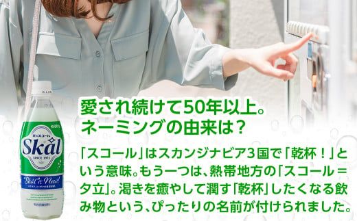 「愛のスコール」500ml×24本_11-2305_(都城市) 宮崎のご当地ドリンク 乳性炭酸飲料 炭酸飲料 乳飲料 デーリィ 南日本酪農