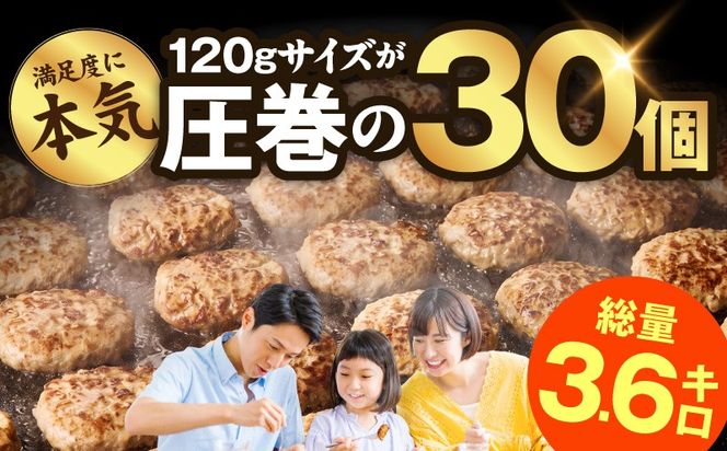 CFX0115 肉の泉佐野 ハンバーグ 30個（合計3.6kg）【黒毛和牛 なにわポーク入り 120g×30個 小分け 冷凍 ストック 人気 総菜 はんばーぐ 訳あり 簡単調理 おかず お弁当】