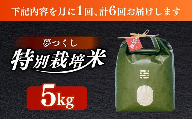 【全6回定期便】 とくべつ の中の とくべつ  特別栽培米  夢つくし 5kg 【築上町】 / itoshimacco / 株式会社やました[ABEX007]