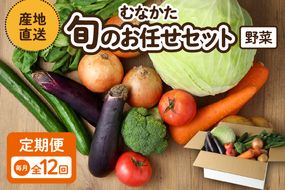 【毎月お届け】むなかた旬のお任せセット（野菜）7～9品【JAほたるの里】_HB0173