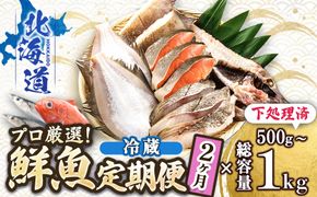 【定期便 2ケ月連続】 お魚の目利きのプロにお任せ！北海道産（国産） 天然 鮮魚 約500g～1kg（釧路の鮮魚セット） 産地直送 冷蔵 冷蔵便 刺身 セット 鮮魚セット 鮮魚ボックス 定期便 魚介類 海鮮 絶品 人気 ヒロセ 北海道 釧路町 釧路超 特産品　121-1262-142-007