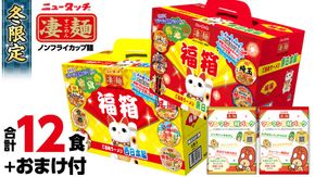 【数量限定】ニュータッチ 凄麺 福箱セット ご当地ラーメン 東日本編 西日本編 合計12食入り 【本社工場直送！】 ノンフライカップ麺 ヤマダイ 麺 ラーメン ご当地 詰合せ 詰め合わせ つめあわせ 数量限定 期間限定 ふるさと納税 13000円 カップ麺 返礼品 冬 らーめん カップラーメン インスタント 即席麺 非常食 保存食 常温 保存 防災 備蓄 ヤマダイ [AH012ya]