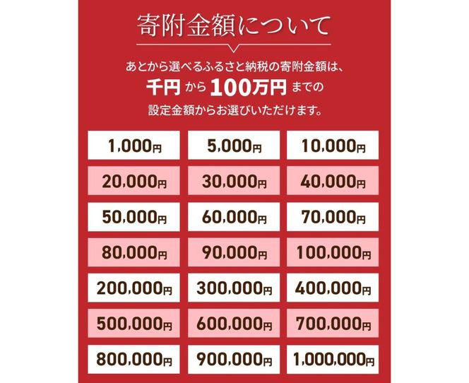 あとからセレクト【ふるさとギフト】１万円～１００万円 コーヒー あんこ ヘアケア シャンプー 天然水 炭酸水 ふとん 布団 餃子 ふじやまビール シャインマスカット 桃 シチズン ジュエリー ウォーターサーバー 山梨 富士吉田