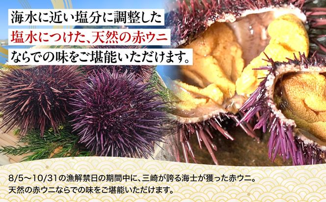 【先行予約】【数量/期間限定】三崎の赤ウニ（塩水パック） 約80g ※北海道・東北地方・沖縄・離島への配送不可（2026年8月上旬より順次発送） IKTJ017