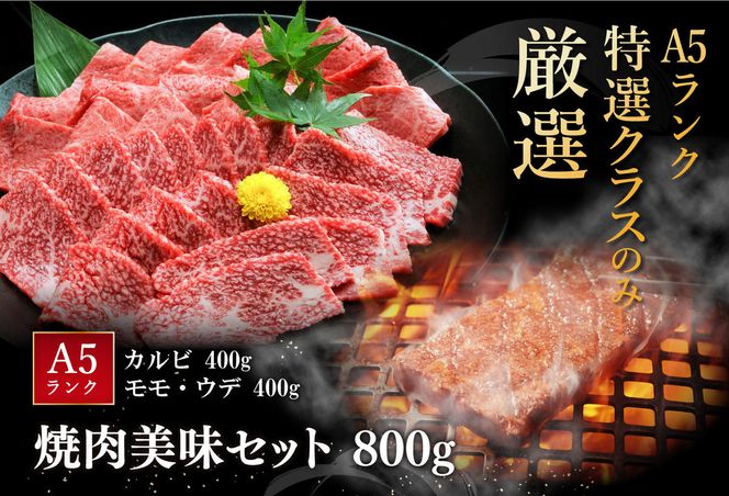 【げんさん】近江牛A5ランク焼肉美味セット【800g】【DG10W】
