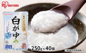 【防災】おかゆ 白がゆ250g×40個 アイリスオーヤマ レトルト 震災 災害 非常時 備え 備蓄 米 対策 ストック 食料 体調不良 食べ物 低温製法米 国産 コシヒカリ 常温保存 非常食 高評価 