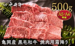 数々の誉れに輝く最高峰 黒毛和牛「平井牛」A5・A4 焼肉用 霜降り 500g 京都 丹波牧場 自家産≪三角バラ・トモバラ・カルビ・カイノミ・ミスジ 希少 和牛 京都肉 冷凍 真空 BBQ キャンプ≫