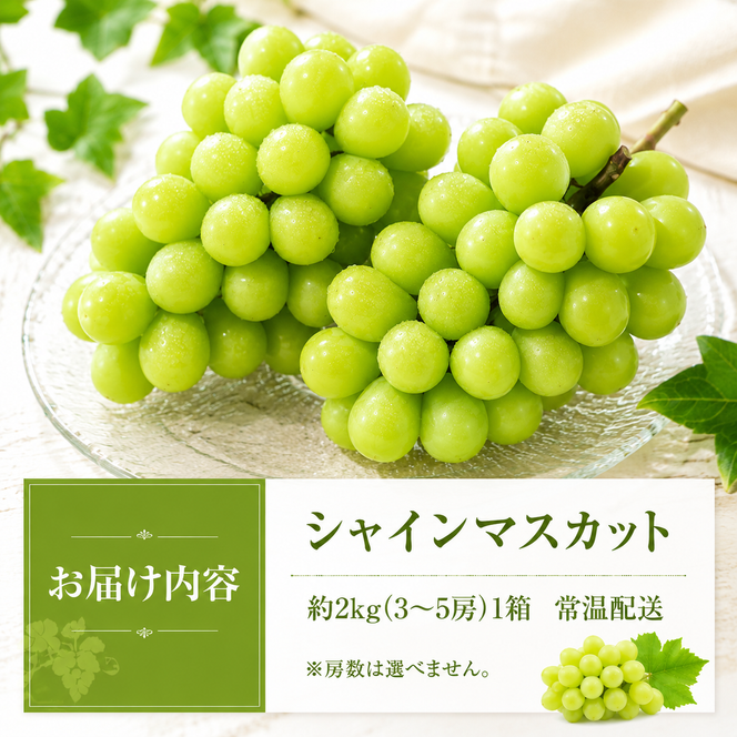 シャインマスカット 約2kg 3～5房 ぶどう 葡萄 フルーツ 岡山 高梁市産 2026年 先行予約 果物類 果物 