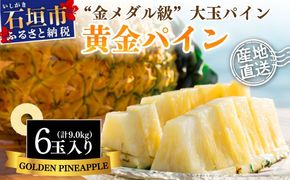 【先行予約】《2025年夏季 順次発送》黄金パイン大玉6個入 計9.0kg 【 産地直送 沖縄 石垣 フルーツ パイナップル パイン 黄金パイン 】SI-53
