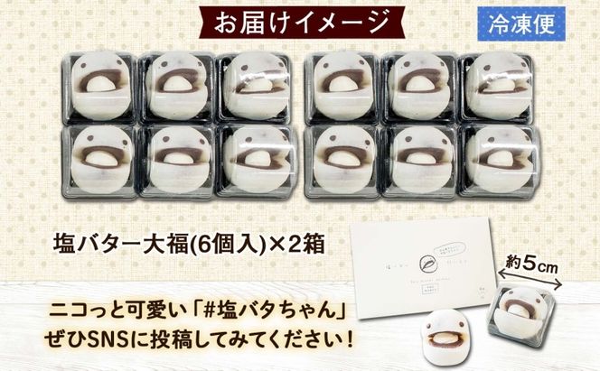 【2024年4月から順次出荷】 北海道 塩バター 大福 6個入り×2箱 12個 個包装 小分け 塩バタちゃん こしあん 和菓子 もち 餅 小麦不使用 ギフト プレゼント 冷凍 お菓子のふじい ニセコ スイーツ 