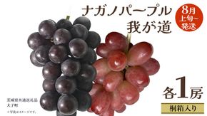 【 桐箱入り 】 ナガノパープル と 我が道 (各１房)【2026年8月上旬発送開始】(茨城県共通返礼品：大子町) ぶどう 葡萄 フルーツ 果物 贈答用 ギフト 贈り物