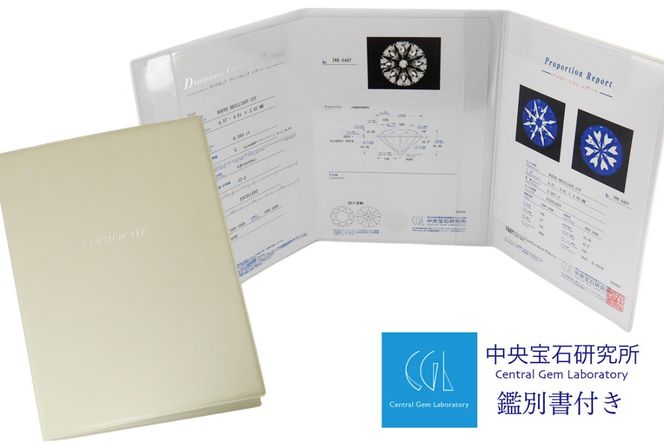 PT　ハート＆キューピット　ダイヤモンドリング（H＆C）　KT-1213　プラチナ ダイヤモンド 指輪 リング ジュエリー 宝石 アクセサリー 中央宝石研究所鑑別書付 山梨 富士吉田