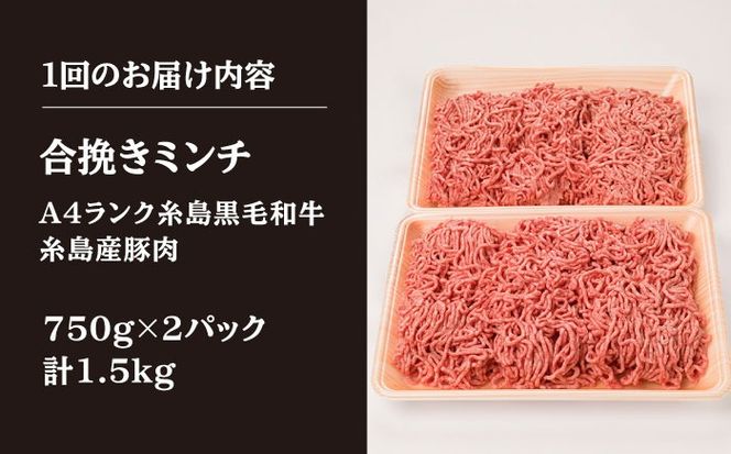 【全6回定期便】【 牛豚合挽 ミンチ 】 A4ランク 糸島黒毛和牛 / 糸島産豚肉 合計1.5kg 糸島市 / 糸島ミートデリ工房 [ACA264]
