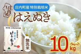 【令和8年産】特別栽培米 はえぬき 無洗米 10kg 5kg×2袋 庄内町産 余目産 余目町農協 あまるめ ブランド米 米 国産 単一原料米 山形 庄内平野