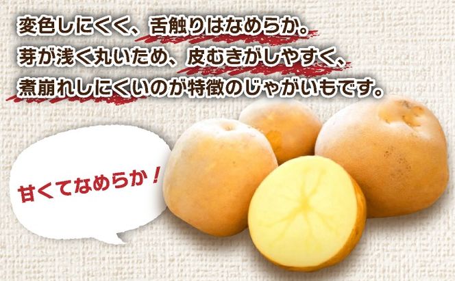 ＜先行予約＞北海道産 じゃがいも(とうや) 約5kg | ジャガイモ 馬鈴薯 ポテト 芋 イモ 国産 野菜 人気 ふじいファーム