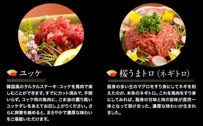 【12ヶ月定期便】厳選プレミアム 馬刺し セット 460g 熊本 千興ファーム 馬肉 《申込みの翌月から発送》 冷凍 配送 新鮮 さばきたて 真空パック SQF ミシュラン 生食用 肉 菅乃屋 熊本県御船町 数量限定---sm_fsgpbtei_24_255000_460g_mo12---