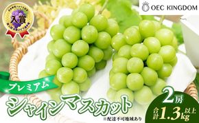 ぶどう 2026年 先行予約 プレミアム シャインマスカット 2房（合計1.3kg以上） 大粒 大房 贈答クラス  ブドウ 葡萄  岡山県産 国産 フルーツ 果物 ギフト OEC KINGDOM ぶどう家 果物類 