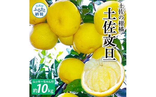 【CF-R7hbk】TKA042　先行予約 土佐の柑橘 土佐文旦 10kg 詰め合わせ （皮むき機）付き 文旦 ぶんたん 10キロ 柑橘 高知県 高知 返礼品 故郷納税 28000円 果物 くだもの フルーツ お取り寄せ 美味しい おいしい ギフト プレゼント 贈答品 贈り物 お歳暮 熨斗 のし 常温