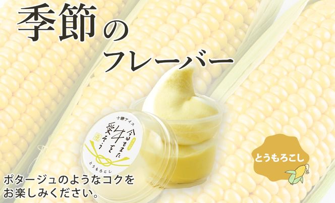 北海道 古田牧場 生 ソフトクリーム 2種 140ml×12個 ミルク 季節限定 牧場 アイスクリーム 牛乳 生乳 スイーツ デザート 詰め合わせ 詰合せ 十勝 士幌町【MB01】