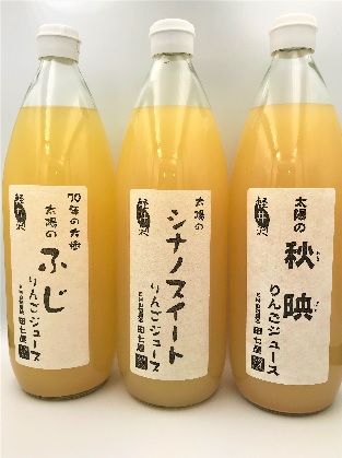 田七屋のリンゴジュース おまかせ3本セット 飲料類 果汁飲料 りんご 