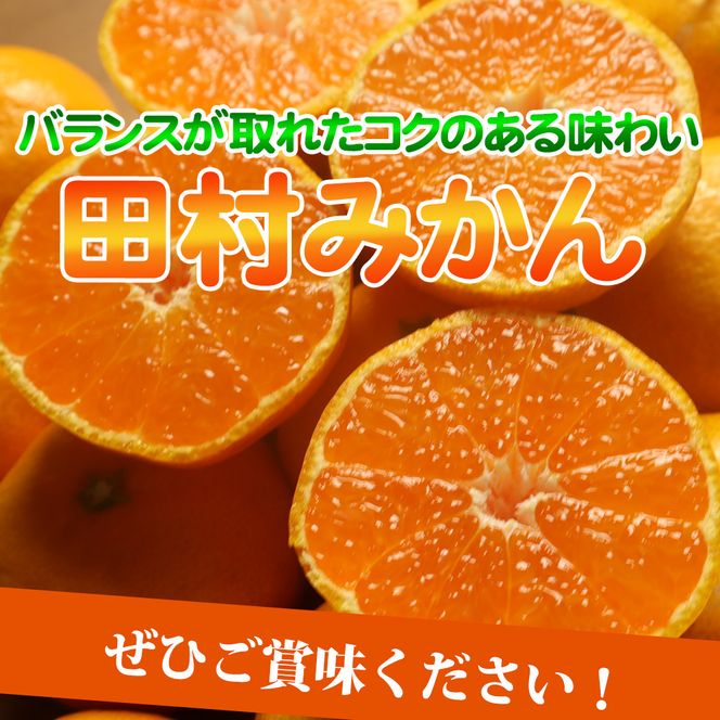 【2026年先行予約】高級ブランド 田村みかん 約5kg_G7340