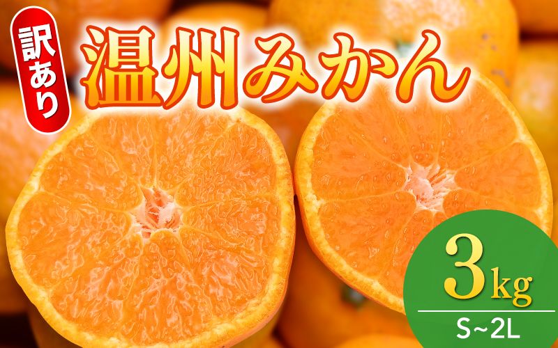 [先行予約]訳あり品 温州みかん 「おてんば娘」3kg(早生・中生・晩稲)[S〜2Lサイズおまかせ][2025年10月中旬〜2026年1月中旬頃までに順次発送][味好農園]/みかん 蜜柑 柑橘 温州
