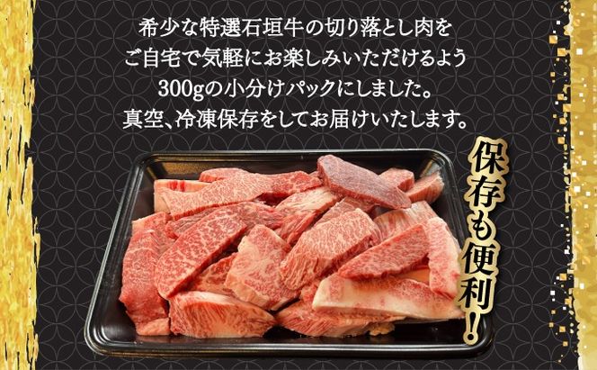 yꌧΊ_szy2025N11ȍ~z󏭂ȓIΊ_ƒŁII؂藎Ƃēp300g&Ί_ MARU`̏ē^100ml×1{