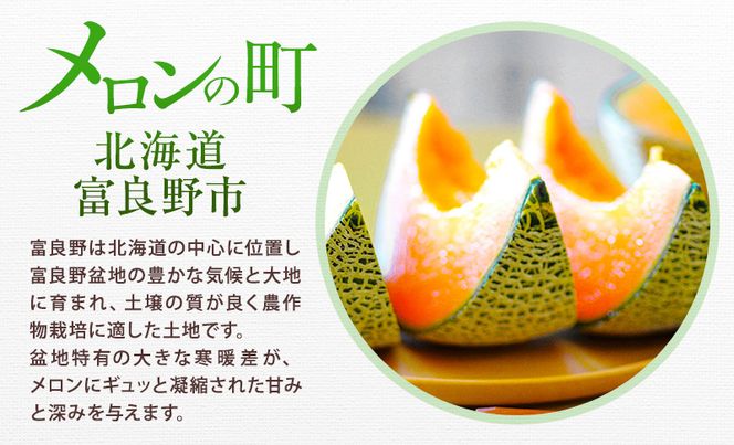 ＜2026年発送＞富良野メロン (赤肉) 品種おまかせ 約1.6kg～/2玉 [ メロン フルーツ 果物 北海道 富良野 ]