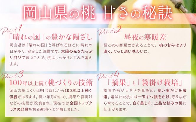 桃 岡山の桃 約4kg《6月下旬-9月上旬頃発送》岡山県 笠岡市 白桃 岡山 はくとう スイーツ フルーツ 果物 デザート 旬 モモ もも 送料無料 果物 清水白桃 白鳳 白麗 クール便---kasaoka_zsy_321_40m---