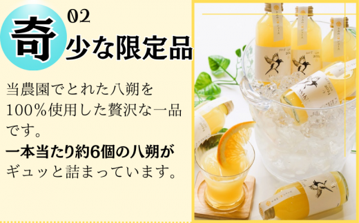 きみの八朔ジュース 180mL×6本 / 果汁 ジュース 八朔ジュース オレンジジュース ドリンク セット 有機 無添加 100% 【kmf006】