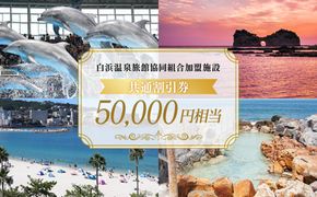 白浜温泉旅館協同組合加盟施設 共通宿泊割引券 50000円相当 304018_DM006