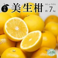 先行予約 数量限定 訳あり 小玉 美生柑 約7kg 小粒  河内晩柑 ばんかん 柑橘類 フルーツ 果物 くだもの 果実 夏文旦 晩生柑 みかん 蜜柑 わけあり 傷 規格外 愛媛県 愛南町