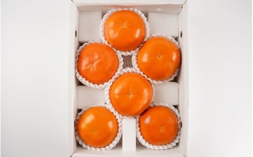 【先行予約】希少な柿【輝太郎】大玉6個～7個 コクのある甘さ！こだわり農家厳選【2026年9月末～10月末頃に順次発送予定】【kgr018】