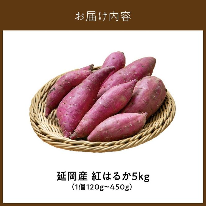 さつまいも 紅はるか 5kg　N063-YA3385