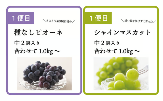 【2026年先行予約】ピオーネとシャインマスカット、中2房の2回便！(定期便) (岡山県産)【KF-T002-02】