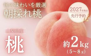 【2027年発送！ 先行予約】日本一の産地山梨県産　朝採れ桃　約２kg(５～８玉） FB001